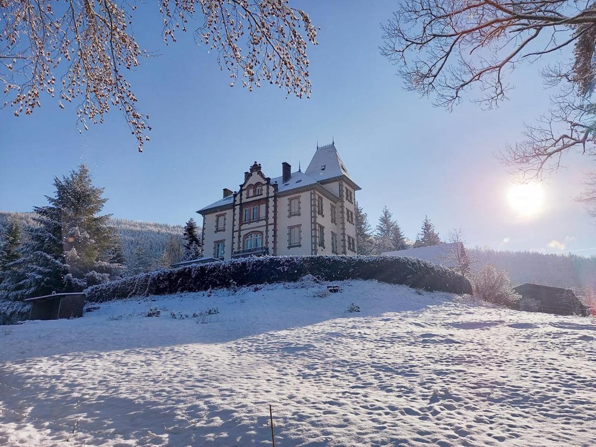Chateau Robert Raon-lʼÉtape Buitenkant foto