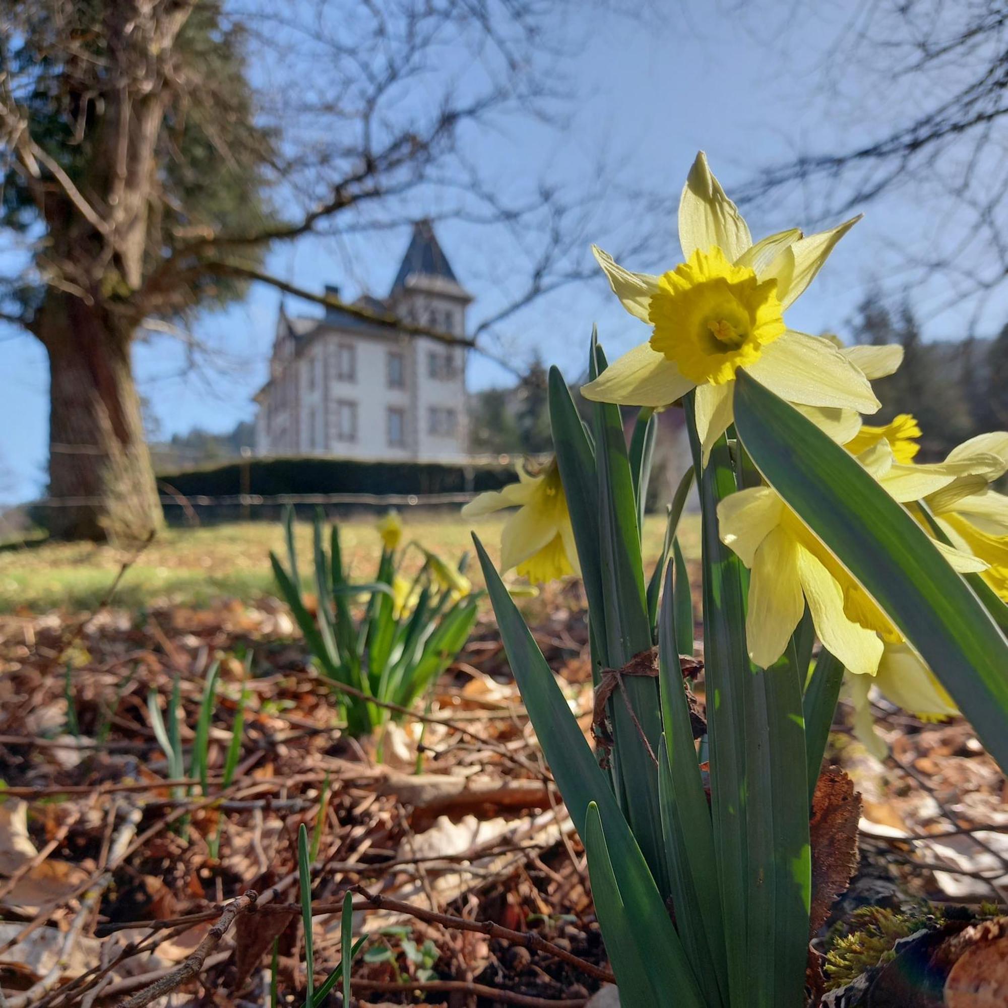 Chateau Robert Raon-lʼÉtape Buitenkant foto