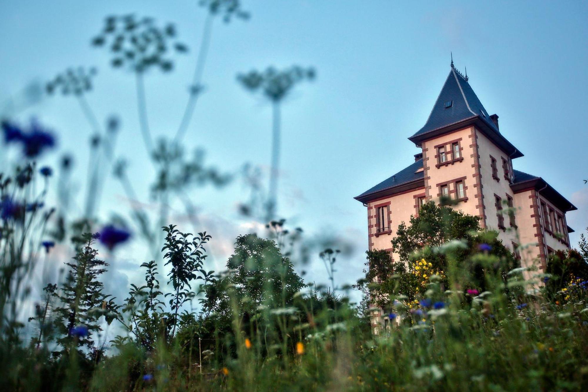 Chateau Robert Raon-lʼÉtape Buitenkant foto