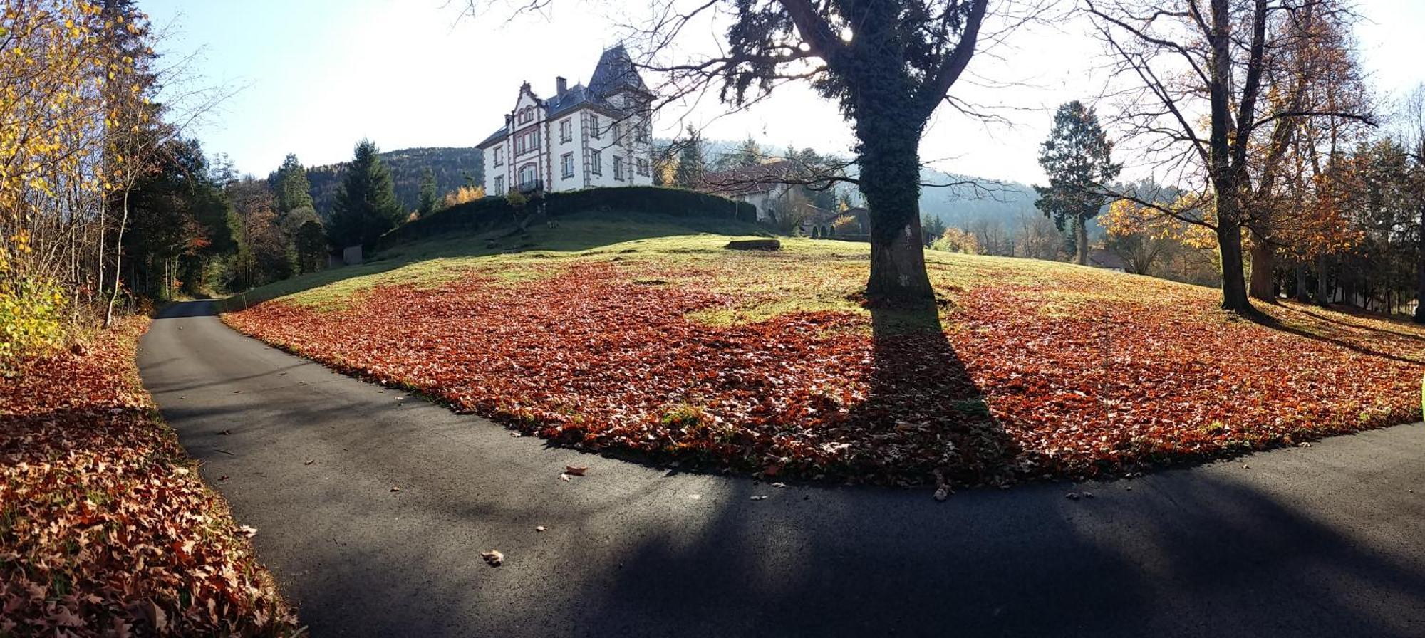 Chateau Robert Raon-lʼÉtape Buitenkant foto