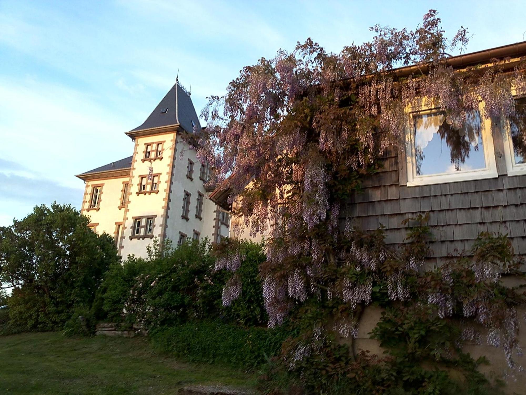 Chateau Robert Raon-lʼÉtape Buitenkant foto