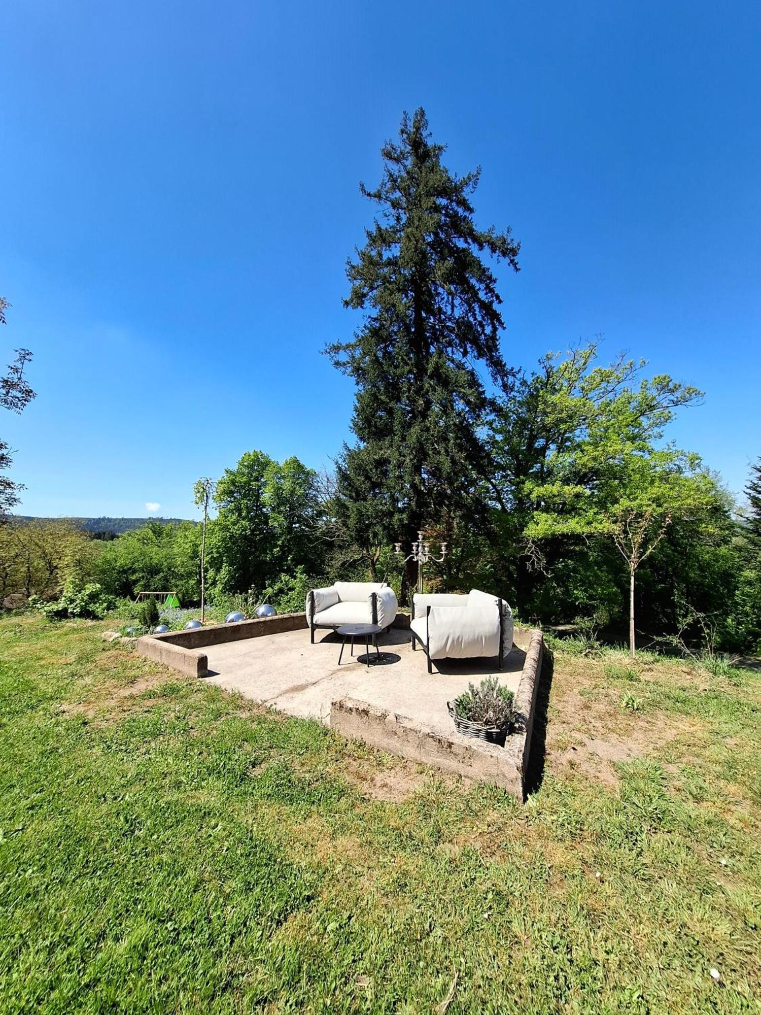 Chateau Robert Raon-lʼÉtape Buitenkant foto